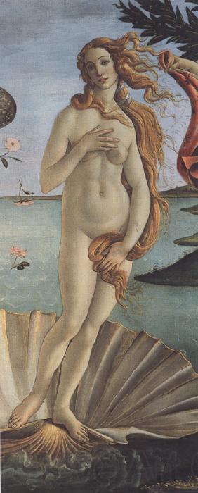 Sandro Botticelli The Birth of Venus (mk36) Spain oil painting art